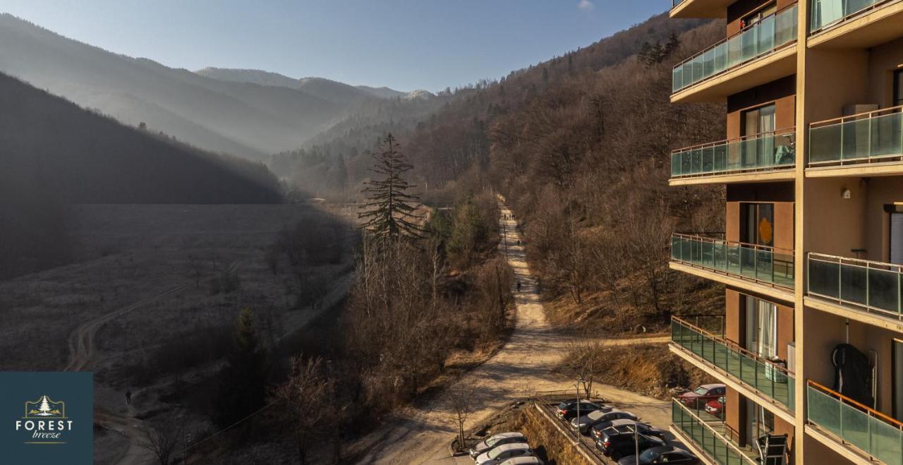 Forest Breeze Apartterrace Μπρασόβ Εξωτερικό φωτογραφία