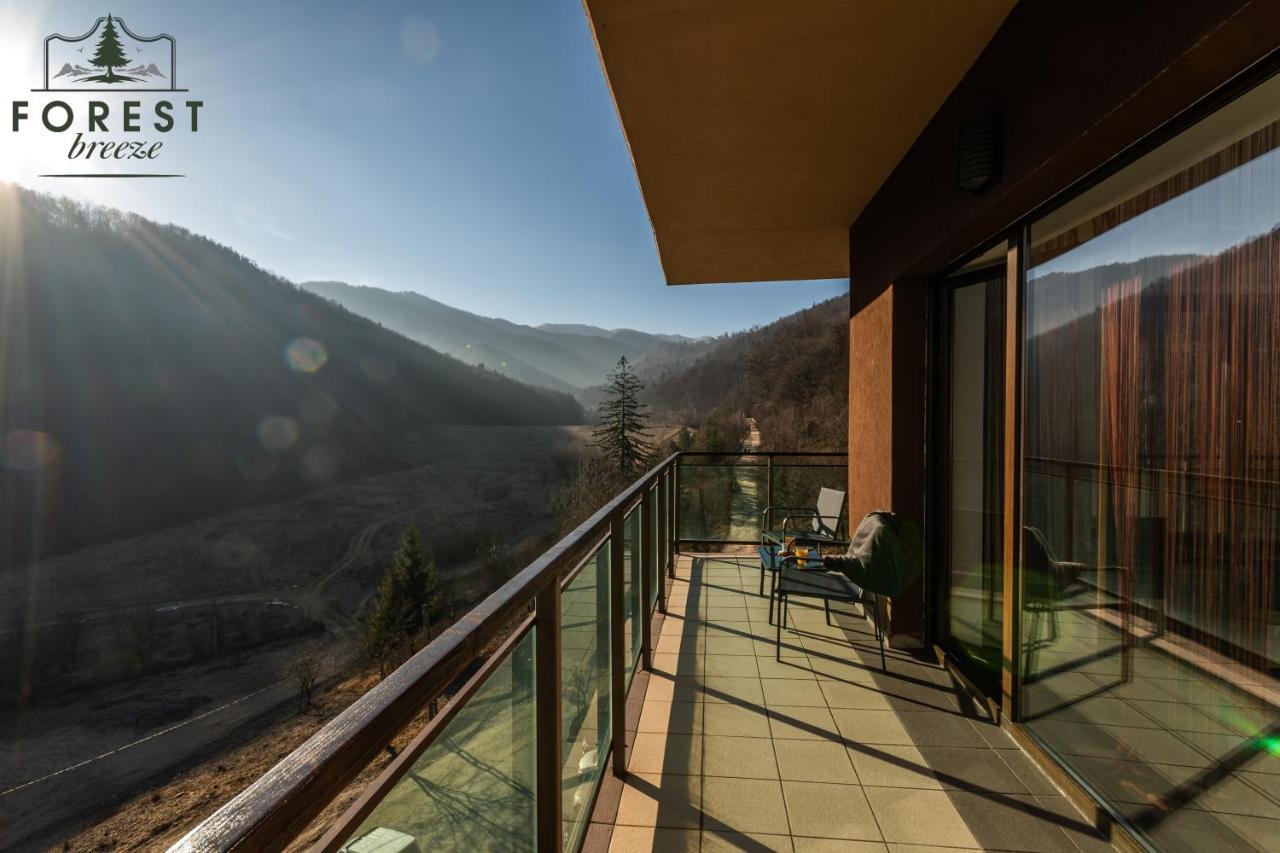 Forest Breeze Apartterrace Μπρασόβ Εξωτερικό φωτογραφία