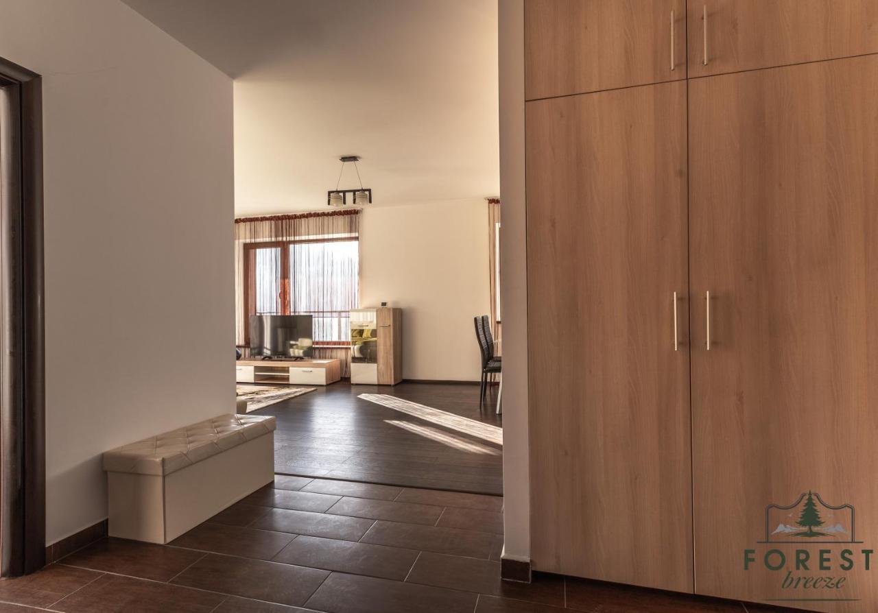 Forest Breeze Apartterrace Μπρασόβ Εξωτερικό φωτογραφία