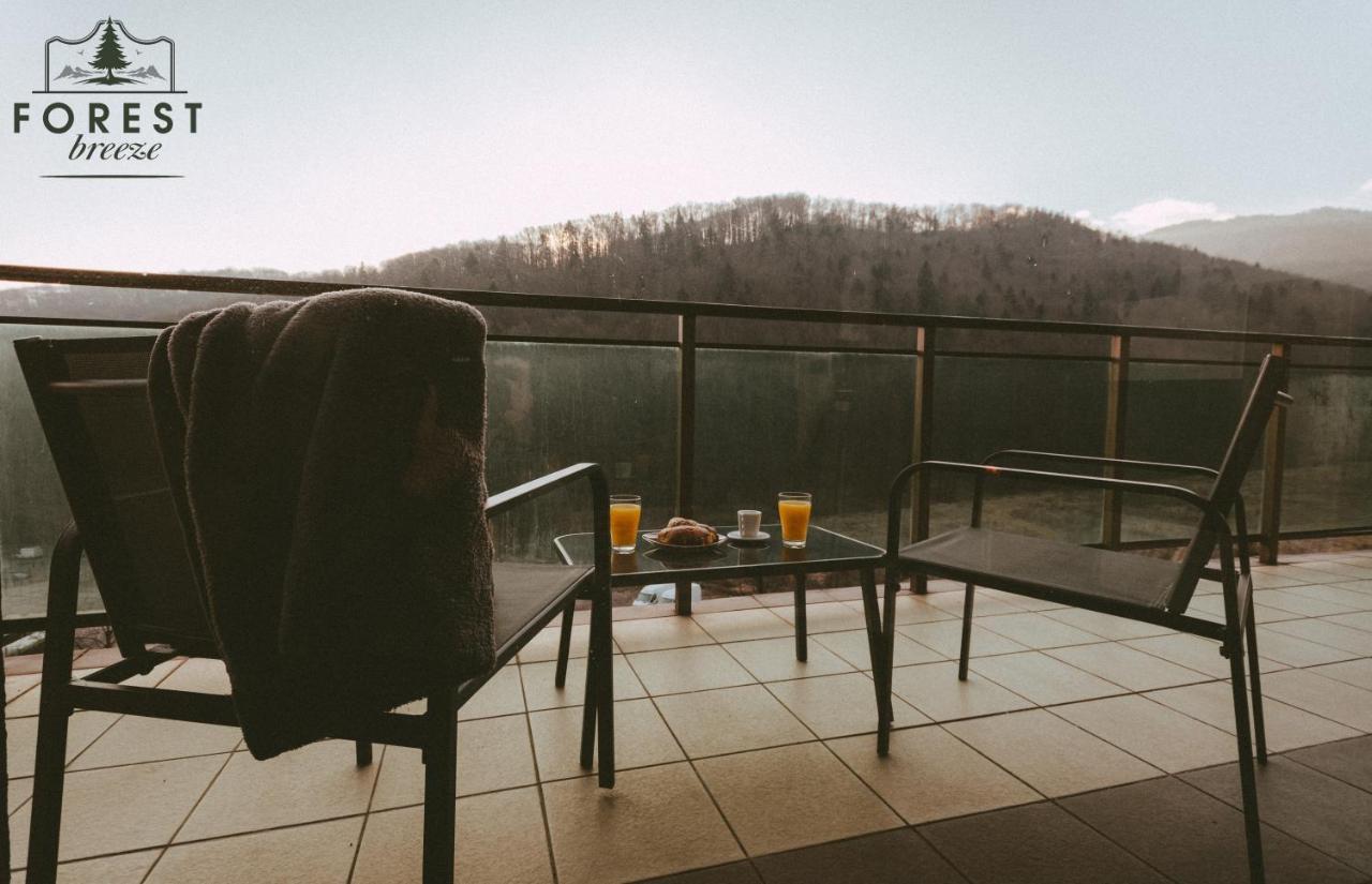 Forest Breeze Apartterrace Μπρασόβ Εξωτερικό φωτογραφία