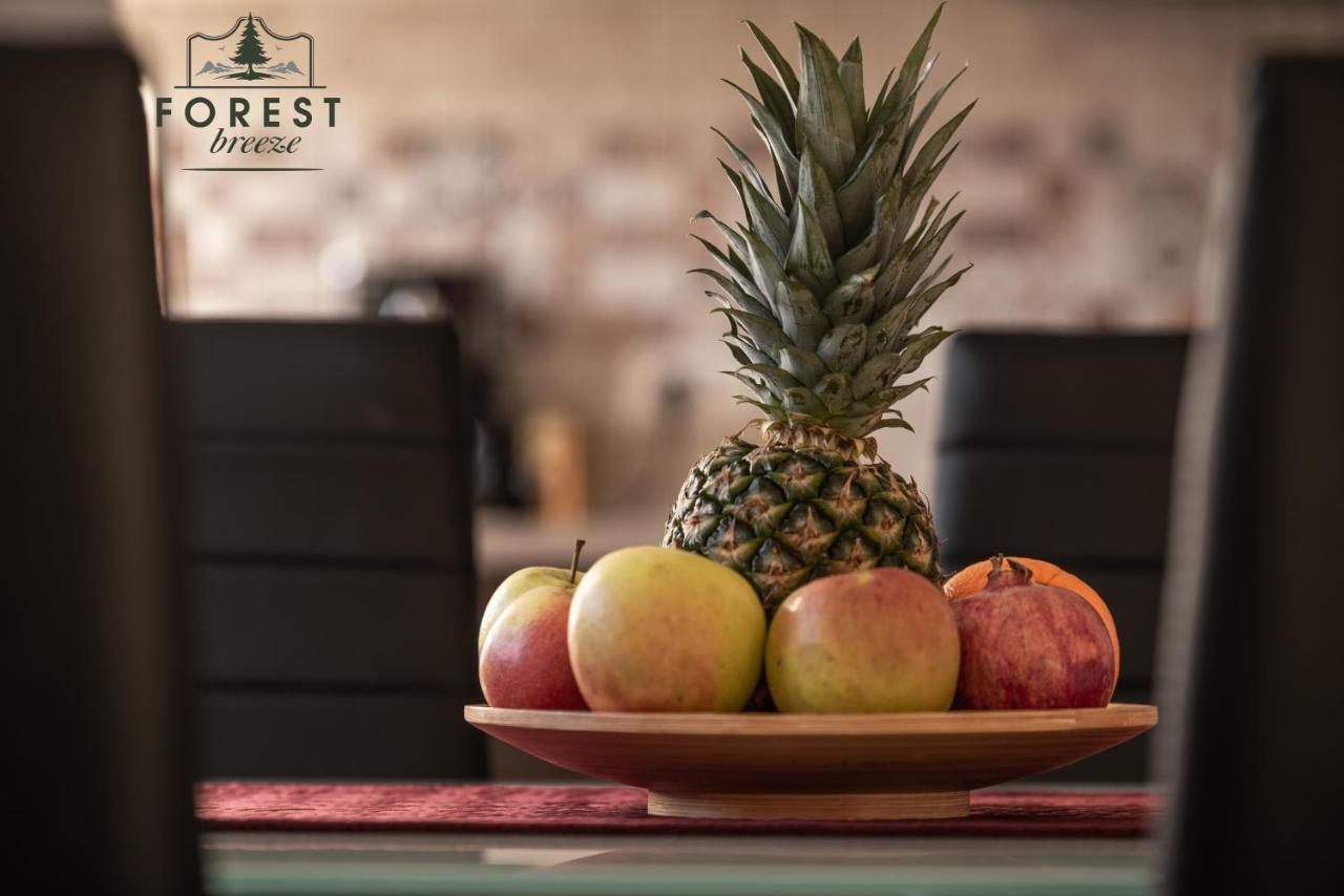 Forest Breeze Apartterrace Μπρασόβ Εξωτερικό φωτογραφία