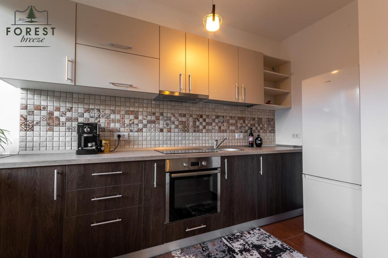 Forest Breeze Apartterrace Μπρασόβ Εξωτερικό φωτογραφία