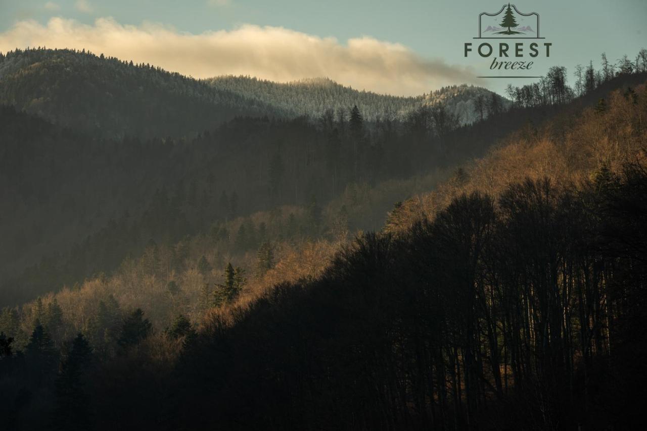 Forest Breeze Apartterrace Μπρασόβ Εξωτερικό φωτογραφία