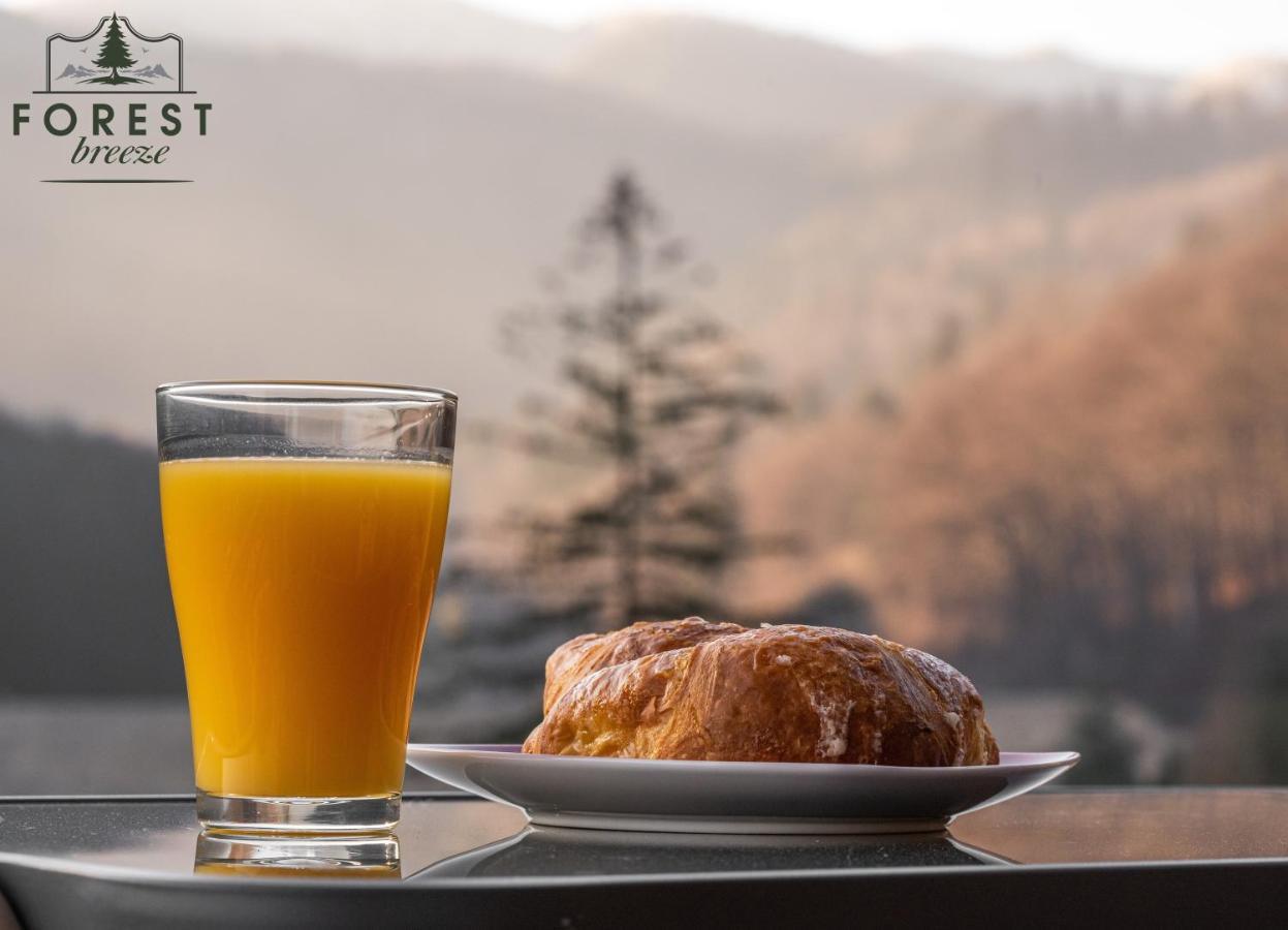 Forest Breeze Apartterrace Μπρασόβ Εξωτερικό φωτογραφία