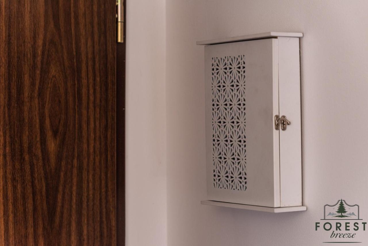 Forest Breeze Apartterrace Μπρασόβ Εξωτερικό φωτογραφία