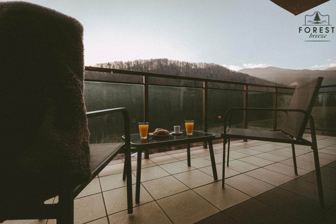 Forest Breeze Apartterrace Μπρασόβ Εξωτερικό φωτογραφία