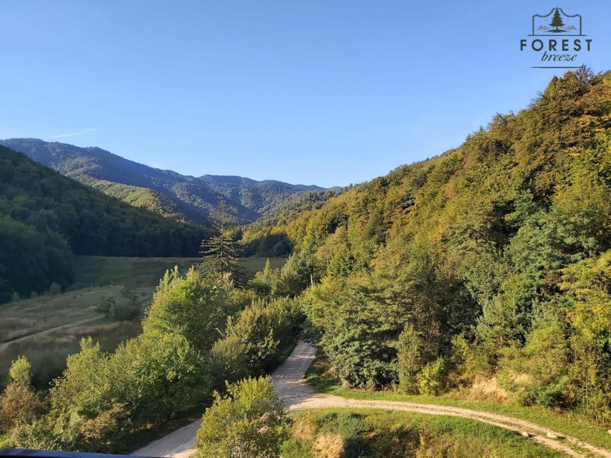 Forest Breeze Apartterrace Μπρασόβ Εξωτερικό φωτογραφία