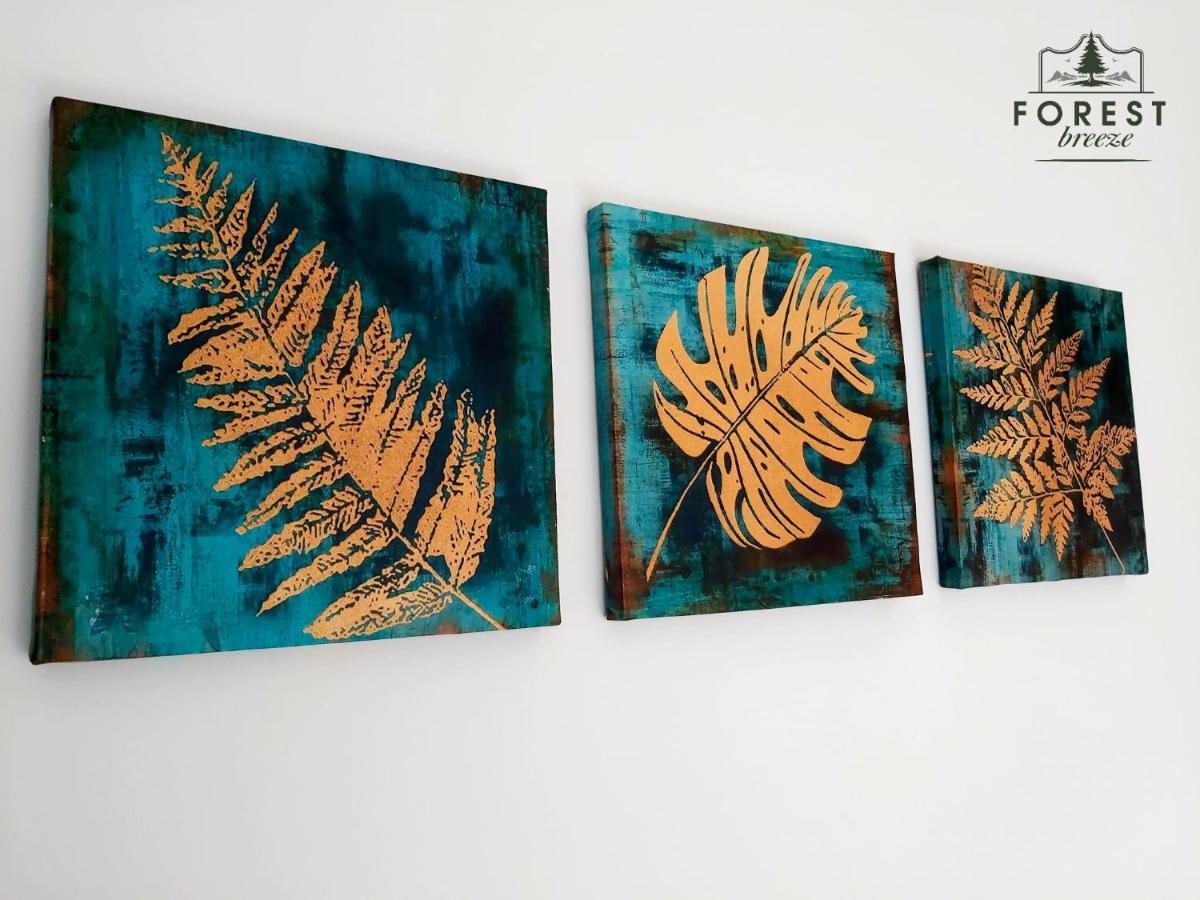 Forest Breeze Apartterrace Μπρασόβ Εξωτερικό φωτογραφία