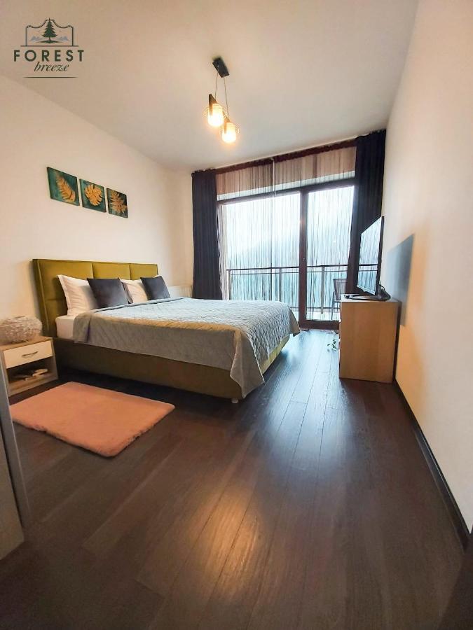 Forest Breeze Apartterrace Μπρασόβ Εξωτερικό φωτογραφία