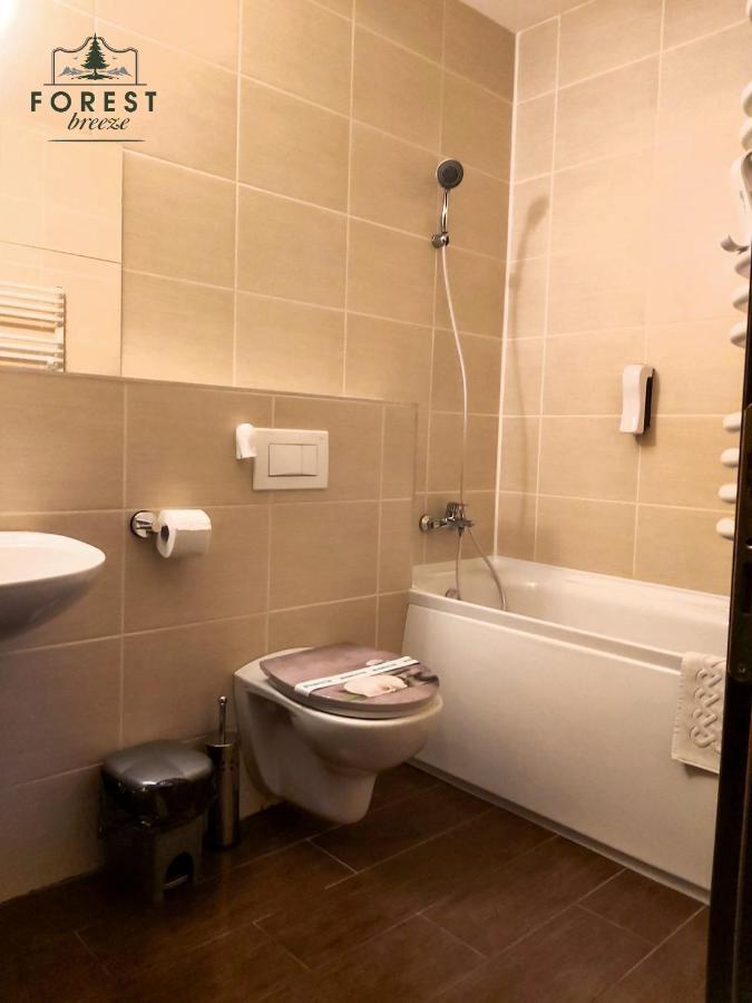 Forest Breeze Apartterrace Μπρασόβ Εξωτερικό φωτογραφία