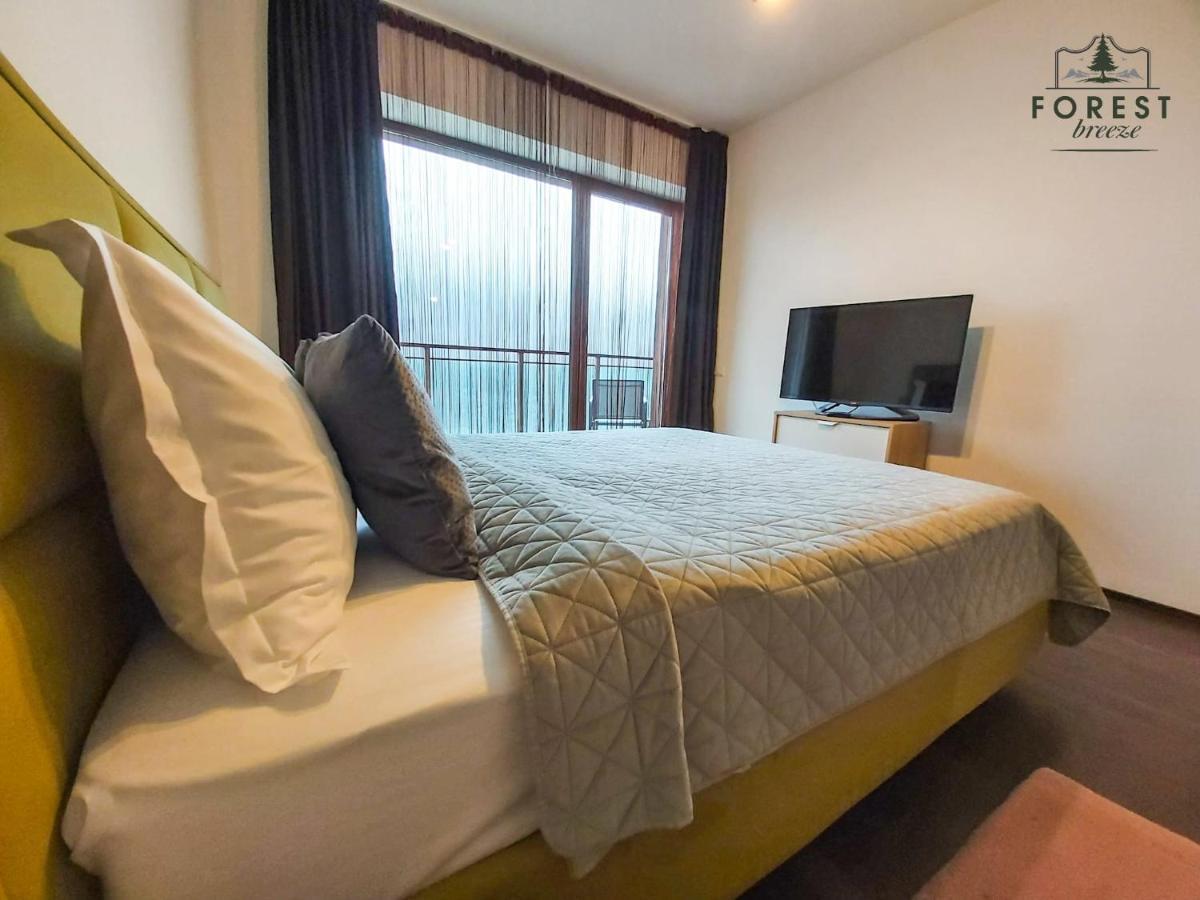 Forest Breeze Apartterrace Μπρασόβ Εξωτερικό φωτογραφία