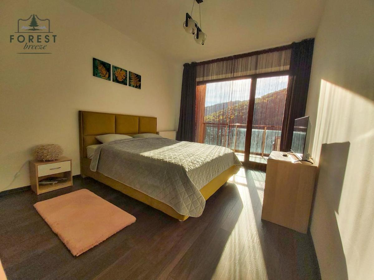 Forest Breeze Apartterrace Μπρασόβ Εξωτερικό φωτογραφία